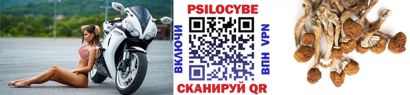 Псилоцибиновые грибы мухоморы  Чистополь 